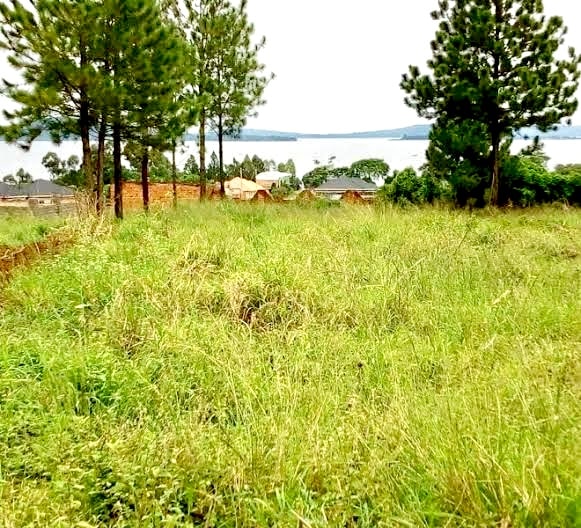 Land-for-sale-Kampala.jpg-min